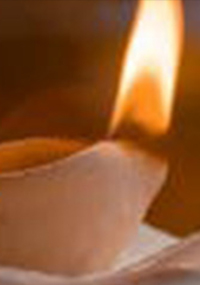 Paliativunterstützung